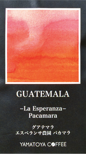 グアテマラ エスペランサ農園 パカマラのパッケージ
