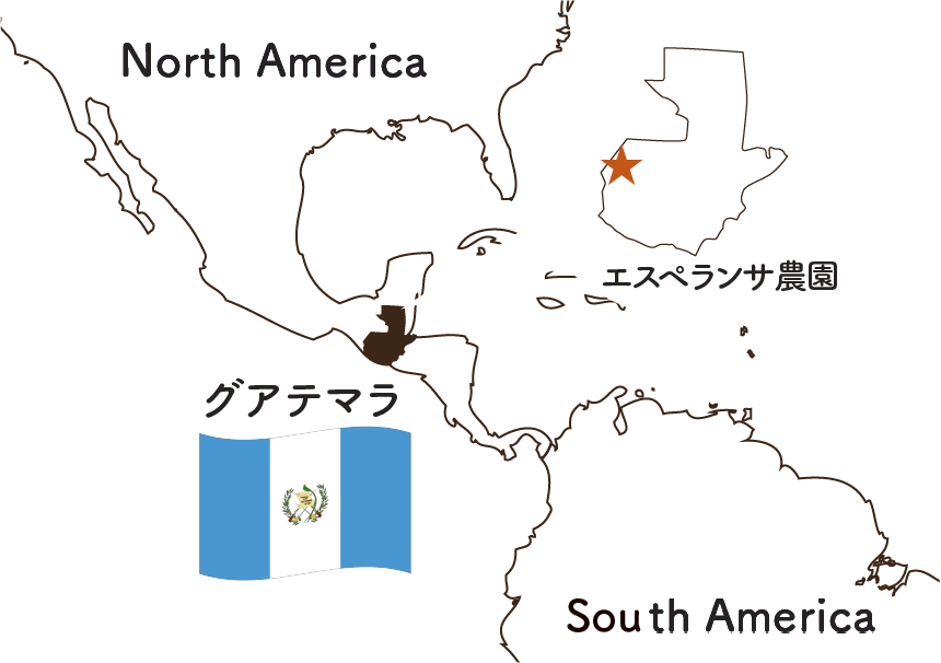 グアテマラ エスペランサ農園 パカマラ MAP